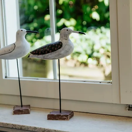 Pet-friendly Retreat