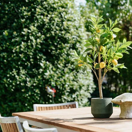 Pet-friendly Retreat * De Haan